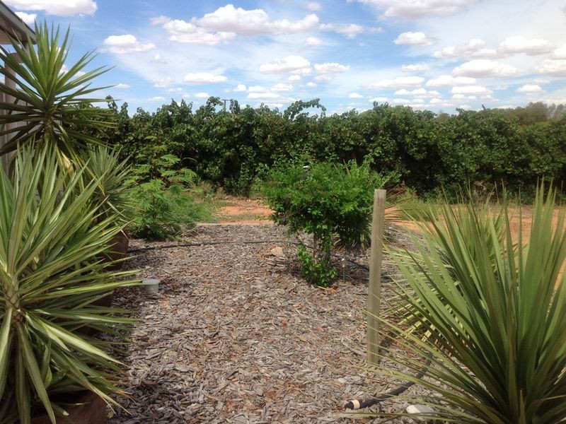 352 Pike Creek Road, Lyrup SA 5343