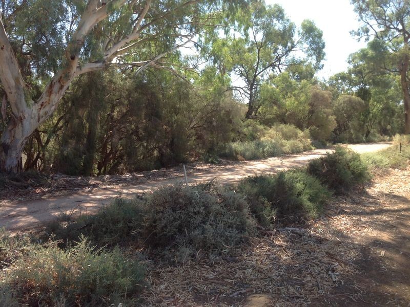 99 Lagoon Drive, Lyrup SA 5343