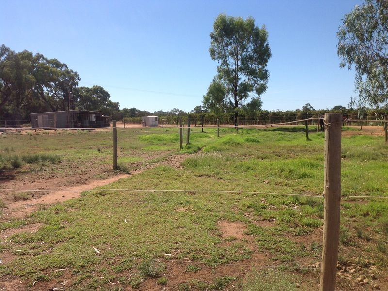 99 Lagoon Drive, Lyrup SA 5343