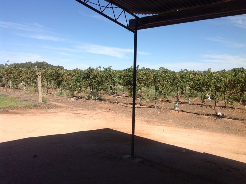 99 Lagoon Drive, Lyrup SA 5343