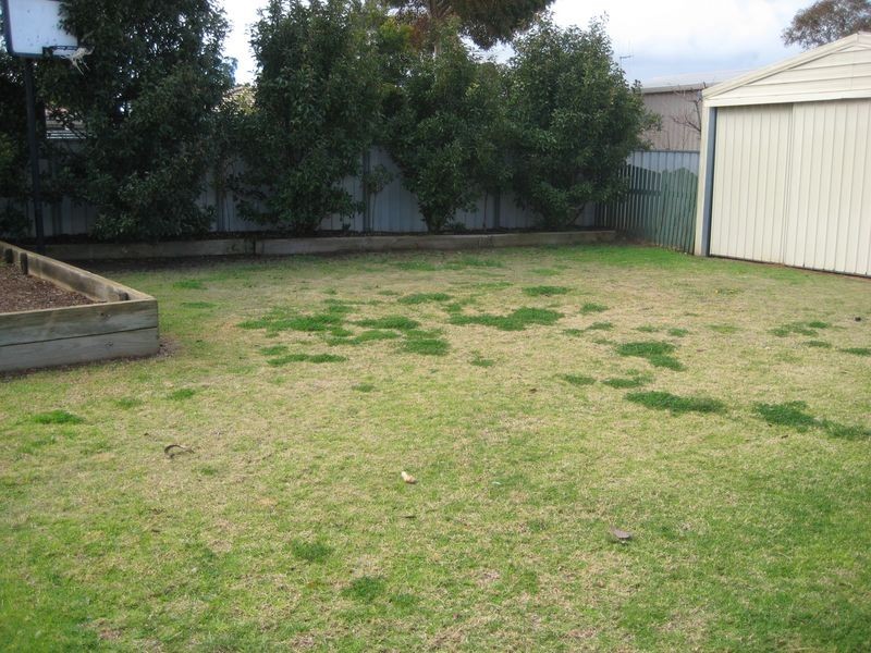 19 Rosenthal Drive, Berri SA 5343