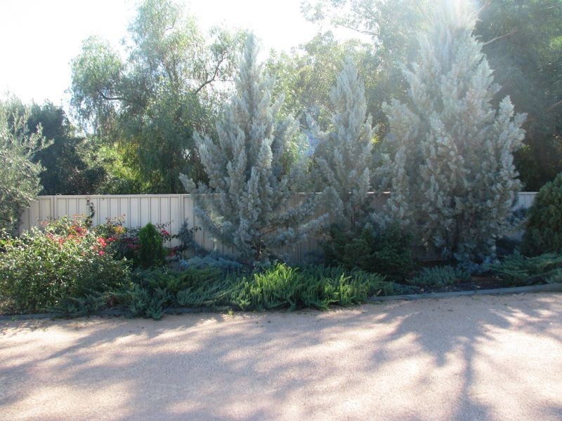 5 Bollenhagen Place, Lyrup SA 5343