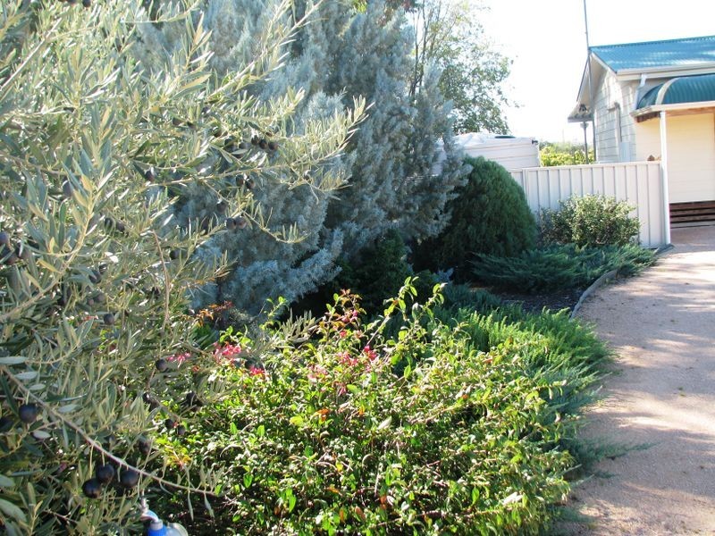 5 Bollenhagen Place, Lyrup SA 5343