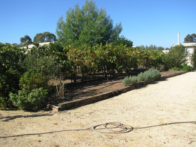 5 Bollenhagen Place, Lyrup SA 5343