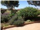109 Kay Ave, Berri SA 5343