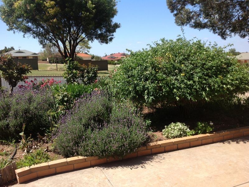 109 Kay Ave, Berri SA 5343