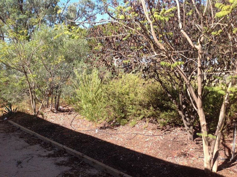 15 RL Gambling Road, Berri SA 5343