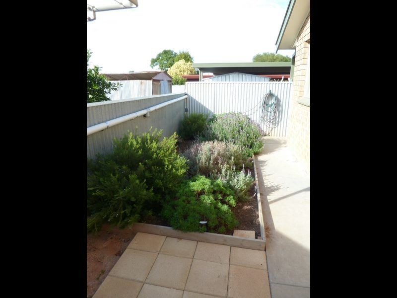 6/9 Farmer Street, Barmera SA 5345