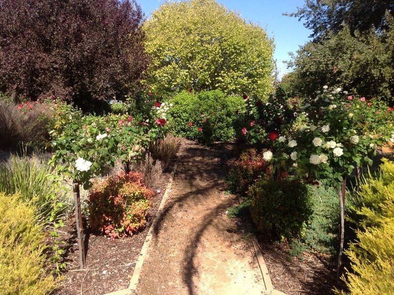 9 Kondoprias Court, Berri SA 5343