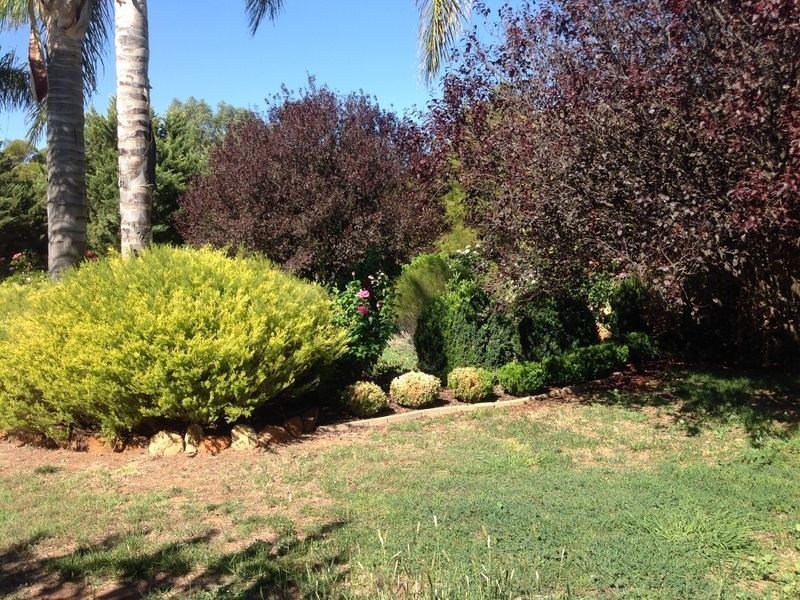 9 Kondoprias Court, Berri SA 5343