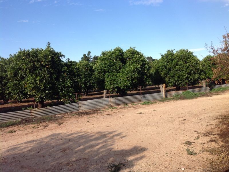 116 Goodes Road, Pyap SA 5333