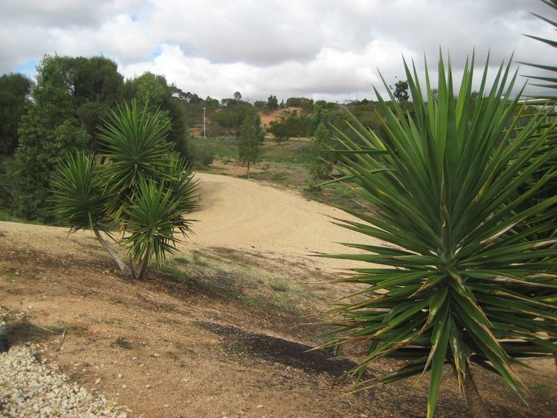 82 Wheatley Road, Loxton SA 5333