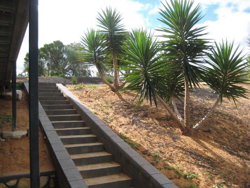 82 Wheatley Road, Loxton SA 5333