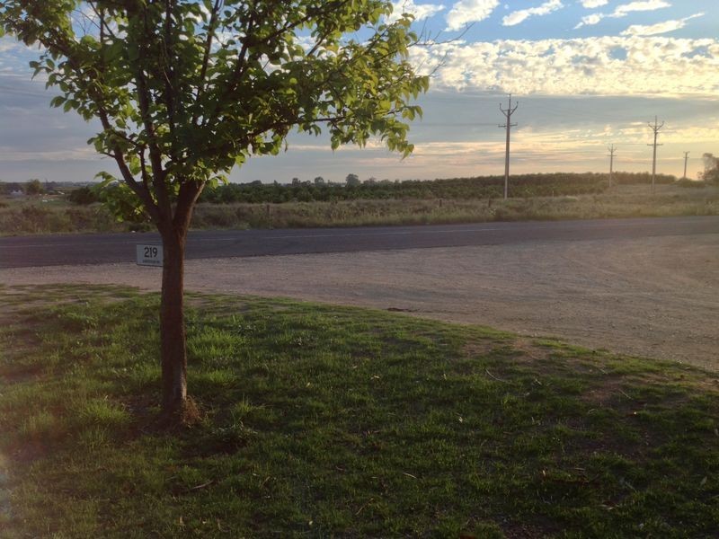 219 Anderson Road, Loxton SA 5333