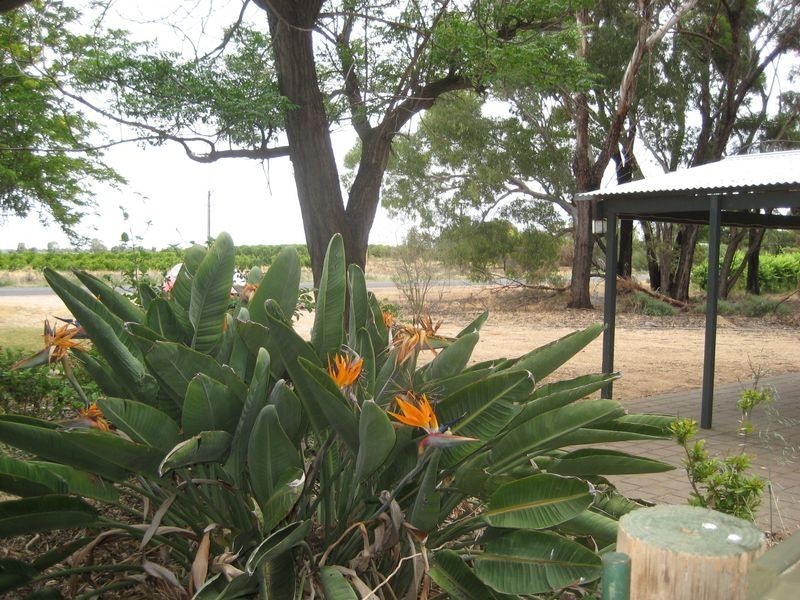 219 Anderson Road, Loxton SA 5333