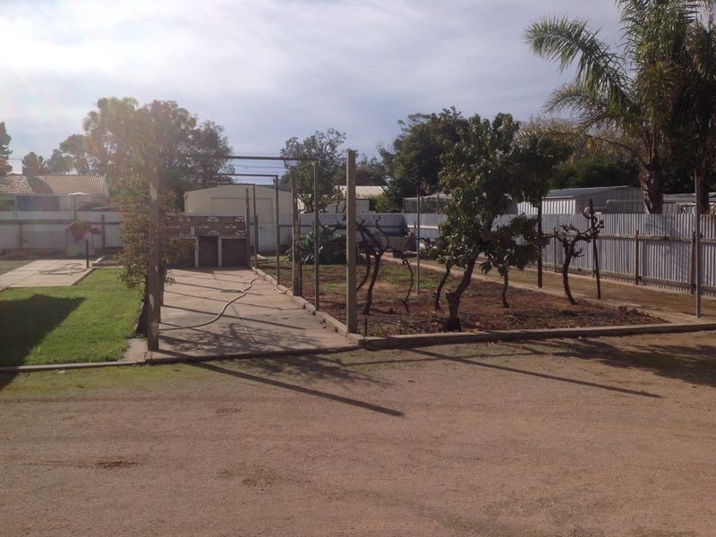 49 Tonkin Avenue, Barmera SA 5345