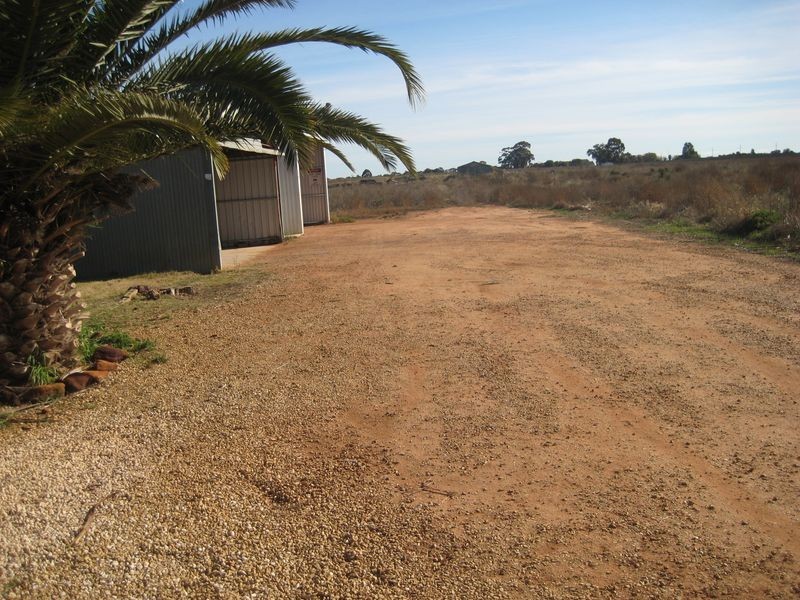 RP302 Gilmour Road, Barmera SA 5345