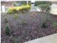 1/29 Muscat Avenue, Berri SA 5343