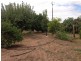 421 Riverview Drive, Berri SA 5343
