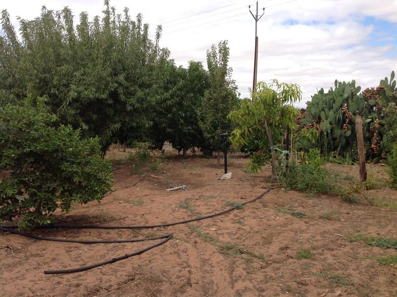 421 Riverview Drive, Berri SA 5343