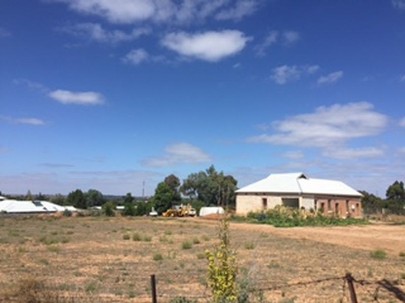 421 Riverview Drive, Berri SA 5343