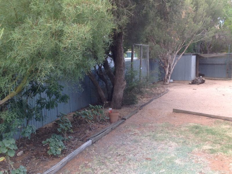 9 Kelly Avenue, Barmera SA 5345