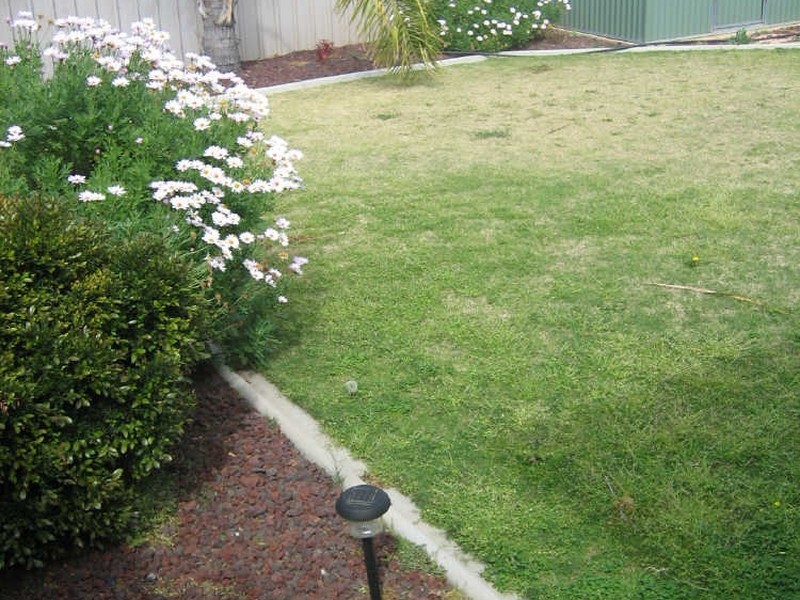 6A Magarey Street, Berri SA 5343