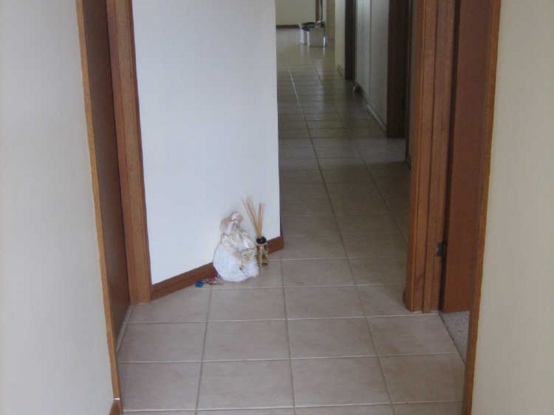 6A Magarey Street, Berri SA 5343