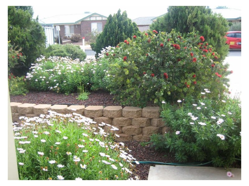 6A Magarey Street, Berri SA 5343