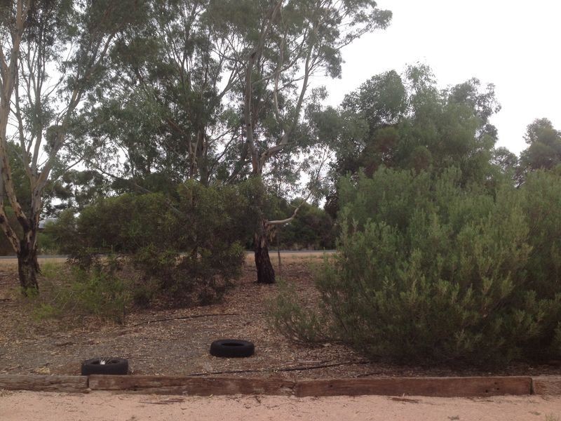 748 Thiele Road, Barmera SA 5345