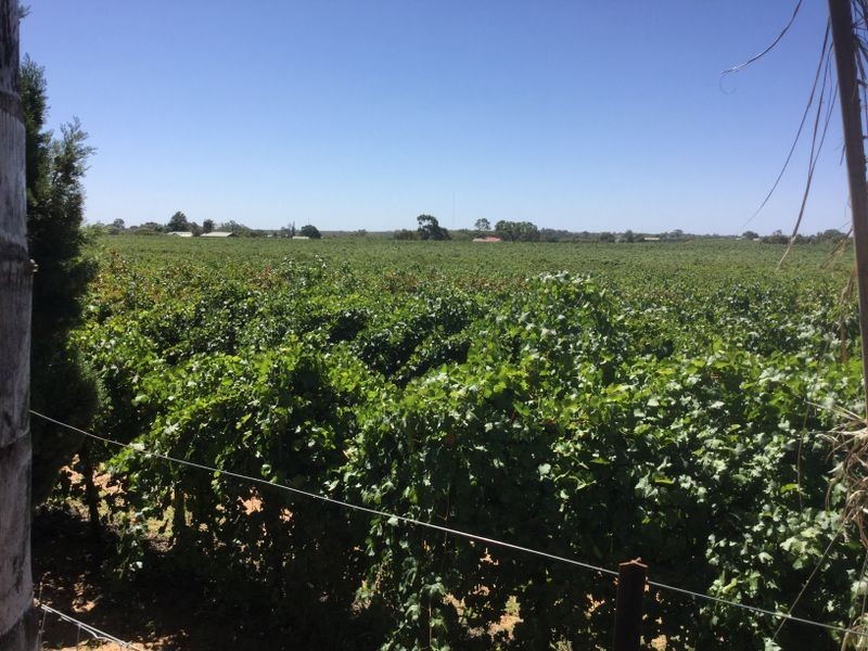 4 Stacey Road, Glossop SA 5344