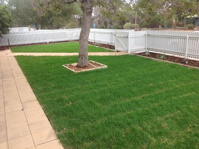 31 Worman Street, Berri SA 5343