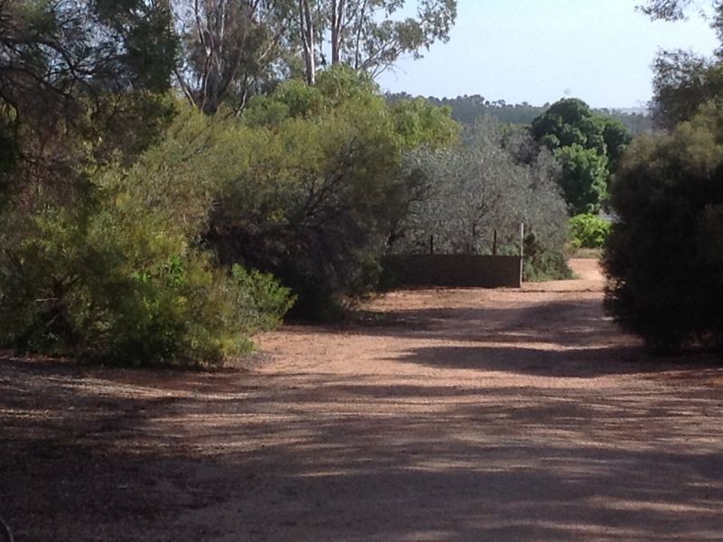 14 Cockin Road, Barmera SA 5345