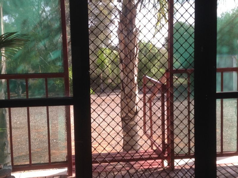 14 Cockin Road, Barmera SA 5345