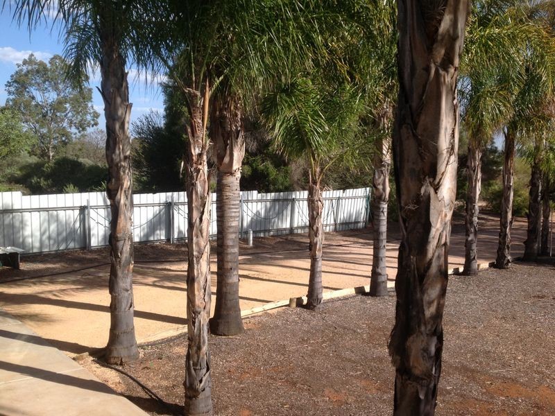 14 Cockin Road, Barmera SA 5345