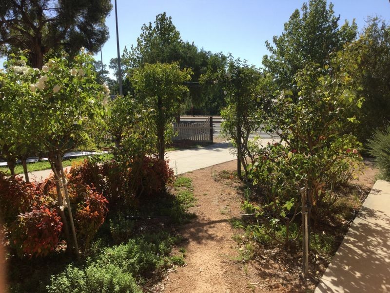 69 Kay Avenue, Berri SA 5343