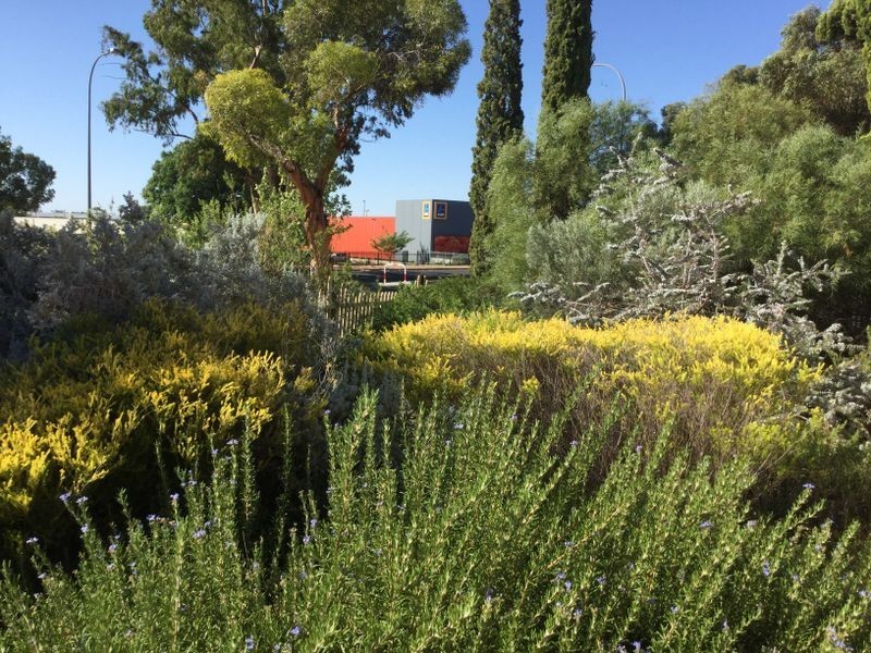 69 Kay Avenue, Berri SA 5343