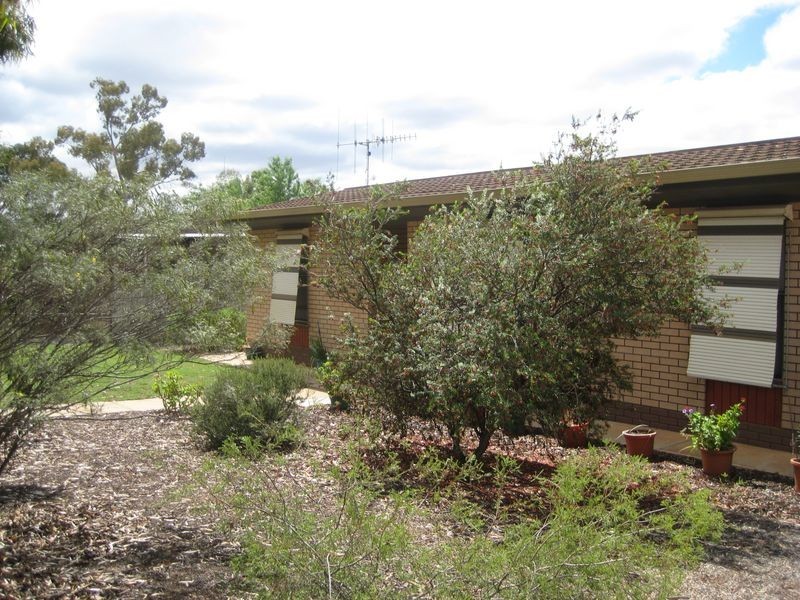 14 Loader Street, Berri SA 5343