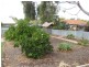 14 Loader Street, Berri SA 5343