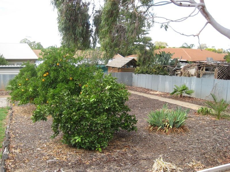 14 Loader Street, Berri SA 5343