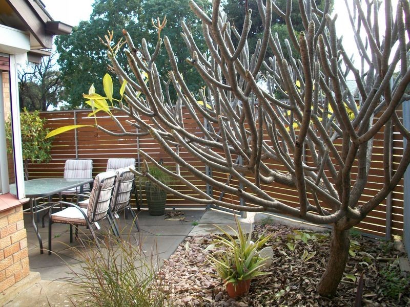 64 Gulfview Road, Christies Beach SA 5165