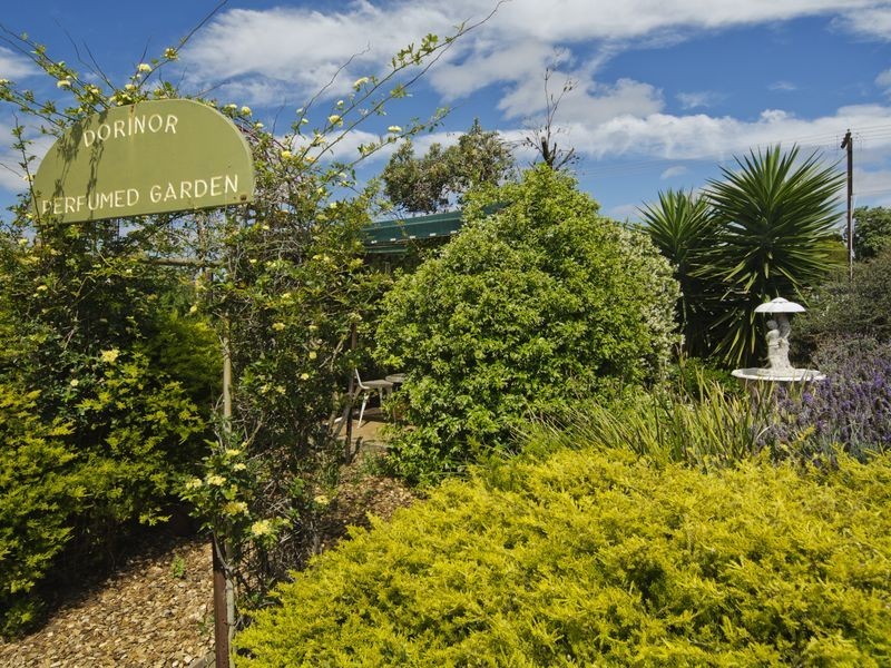 19 Norseman Street, Port Noarlunga South SA 5167