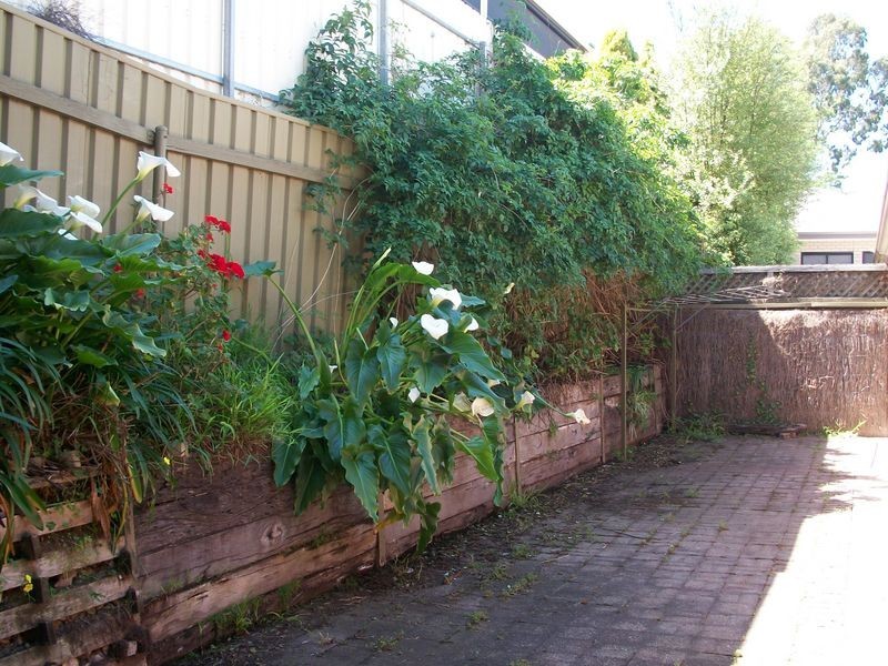 3/43 Magnolia Avenue, Happy Valley SA 5159