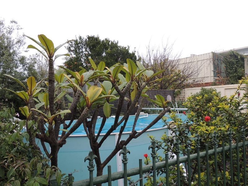 1 Fergus Avenue, Christies Beach SA 5165