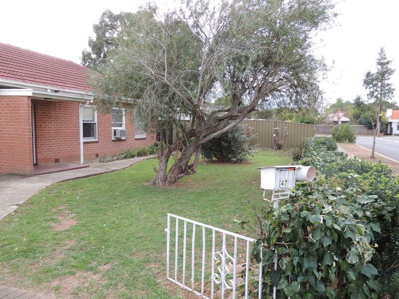 47 Dwyer Road, Oaklands Park SA 5046