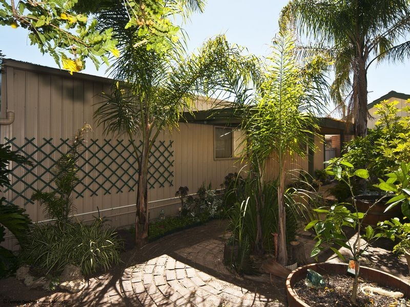 24 Alexander Crescent, Christie Downs SA 5164