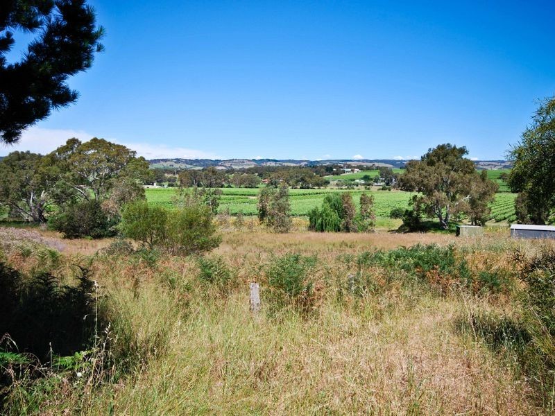 Lot 20 Chalk Hill Road, Mclaren Vale SA 5171