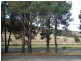 LOT 200 / Peters Terrace, Mount Compass SA 5210