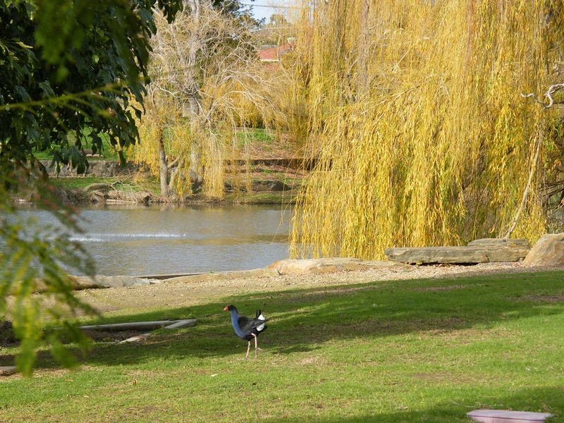 10 Ellis Avenue, O’halloran Hill SA 5158