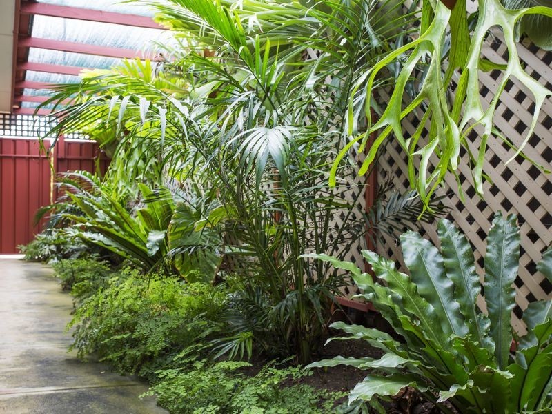 30 Quailo Avenue, Hallett Cove SA 5158